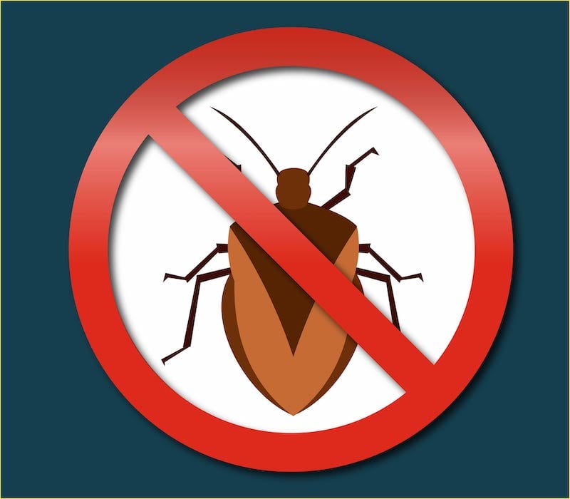 bedbugs control service