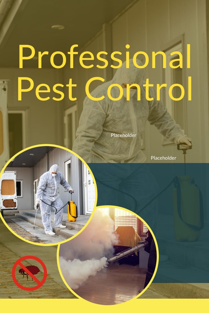 about excel pest control services in Melbourne