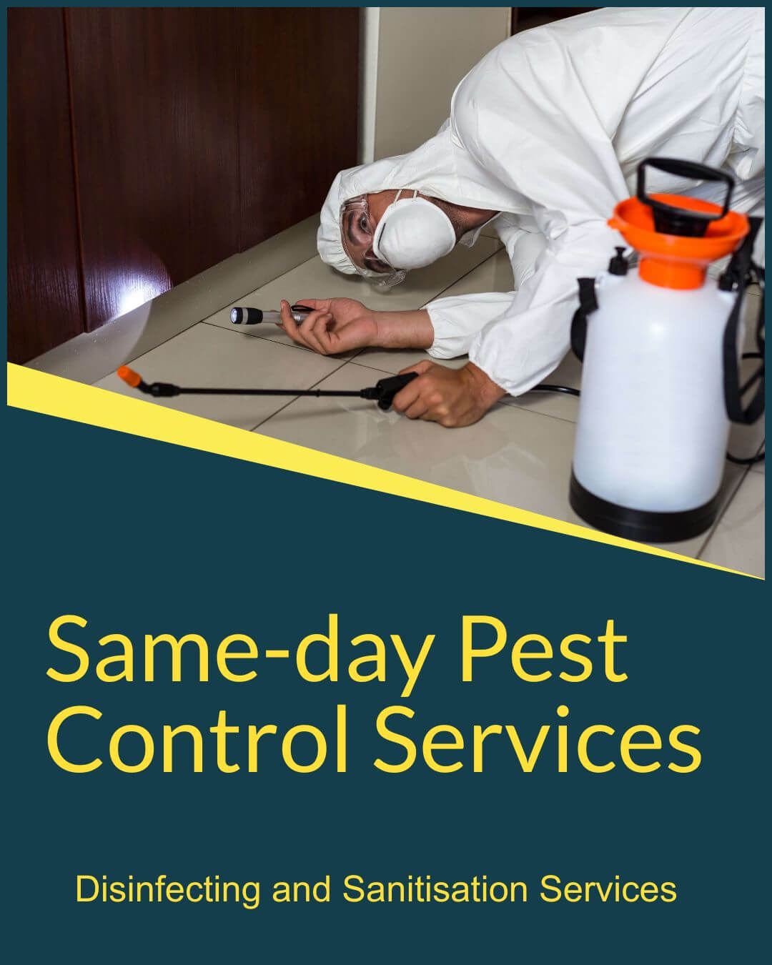 same day pest control services